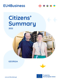 Citizens' Summary 2022: Georgia